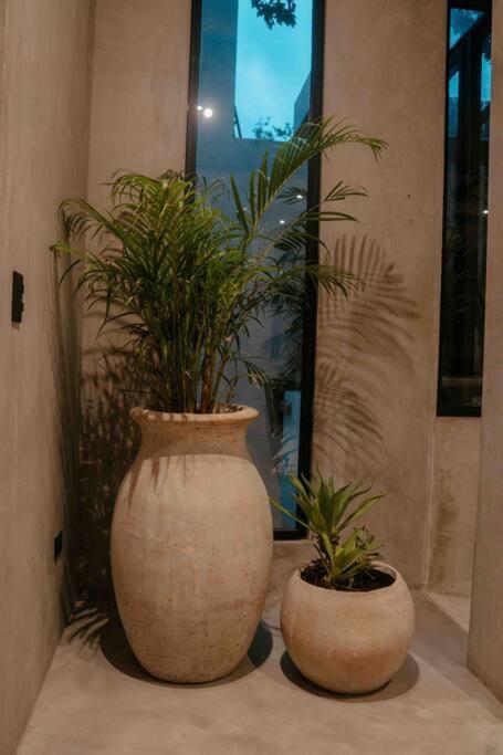 Villa Camila Tulum Ngoại thất bức ảnh